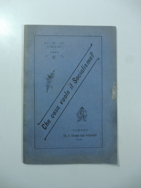 Che cosa vuole il socialismo?